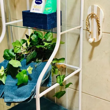 アパート Shanti, La Casa Azul *